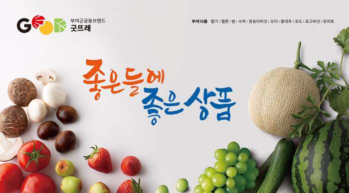 0609 군청 벽광고-01-수정-아웃