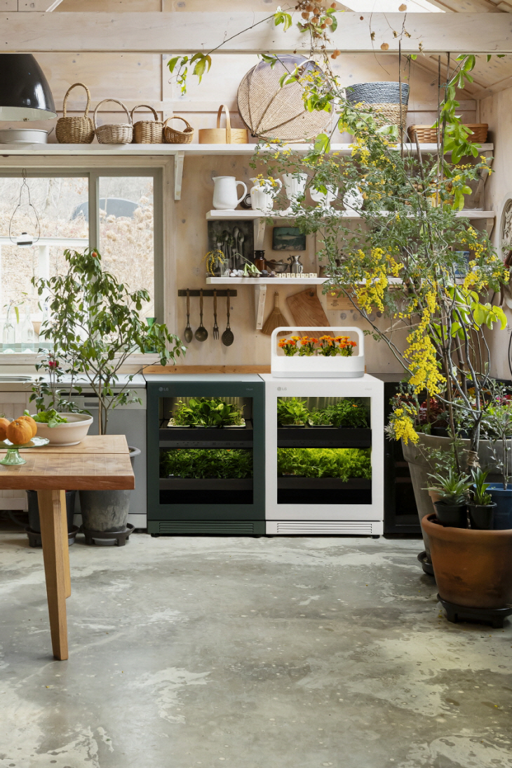 [사진1] LG 틔운, 틔운 미니 라이프 스타일 사진