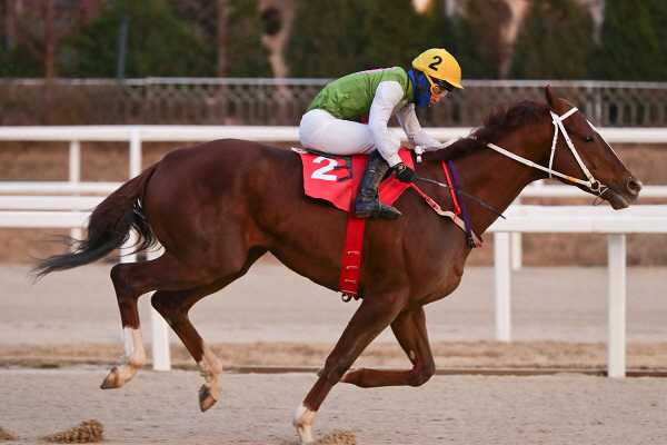 부산경남경마공원, 26일 부산광역시장배 ‘강자 대거출전’
