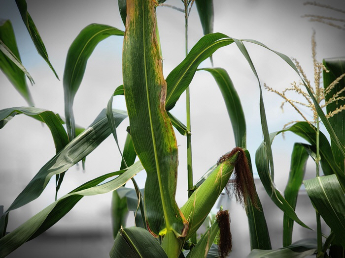 KakaoTalk_20220710_134525325