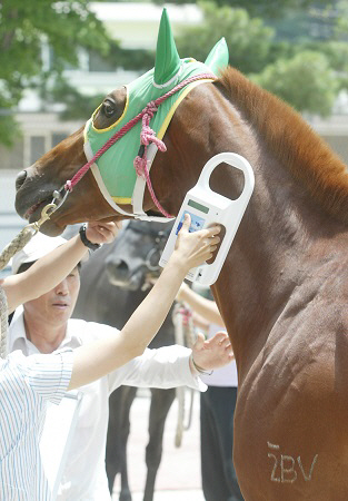 부산경남경마공원 “빅테이터로 경주마 바뀜 사고 막는