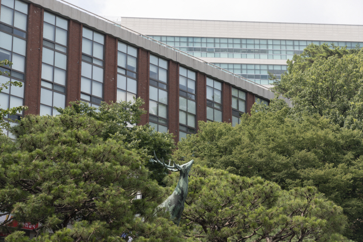 [사진] 상명대 여름 전경