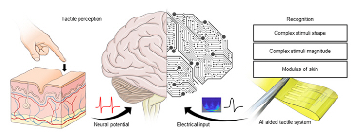 인공지능 기반 데이터 해석이 가능한 전자피부 개발연구