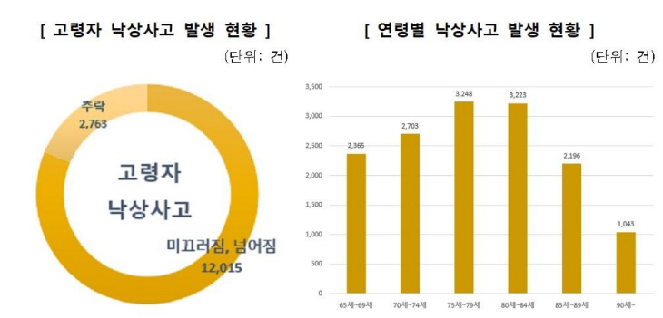 고령자 낙상사고 현황