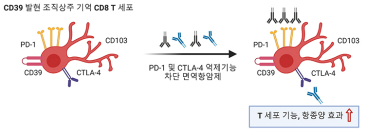 그림 1