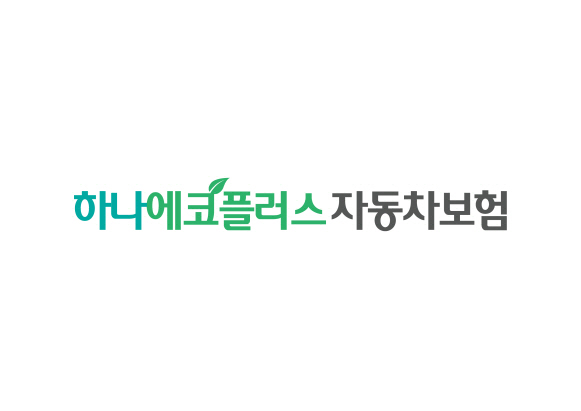 하나손보
