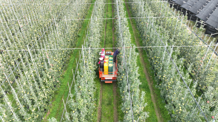 과실전문생산단지 기반조성사업 2개지구 국비 확보