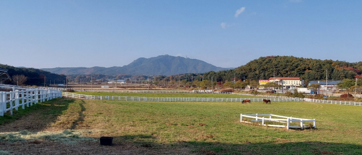 경마축산고 목초지