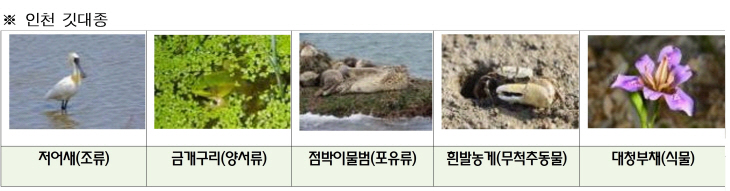 사진1. 인천 깃대종 리스트