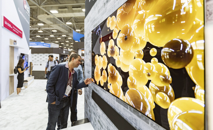 LG CEDIA Booth Briefings