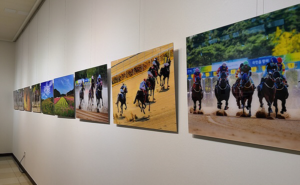 한국마사회 부산경남, ‘말문화 기반 공공예술 아트호스展’ 개