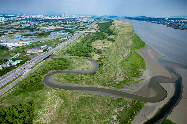 고양특례시 장항습지 전경