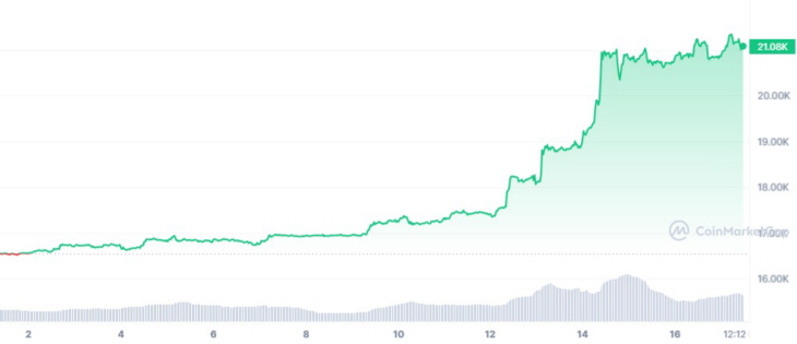 BTC_YTD_graph_coinmarketcap