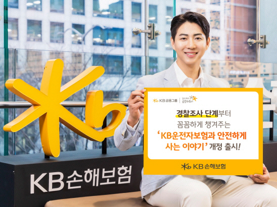 KB손보
