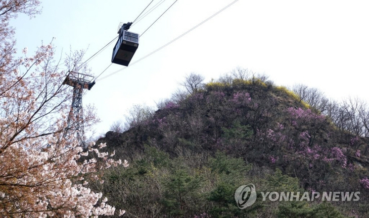 남산 케이블카