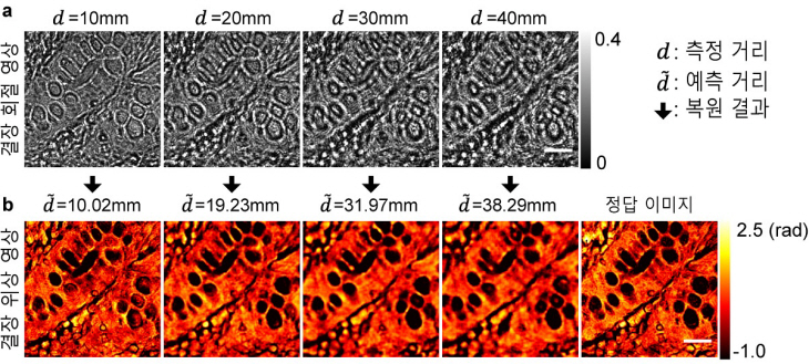 2023020601000276200012064