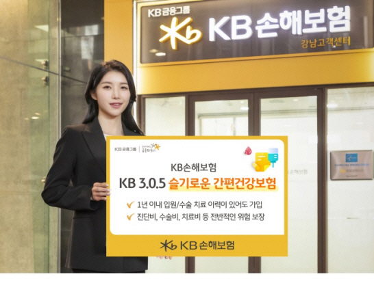 KB손해보험