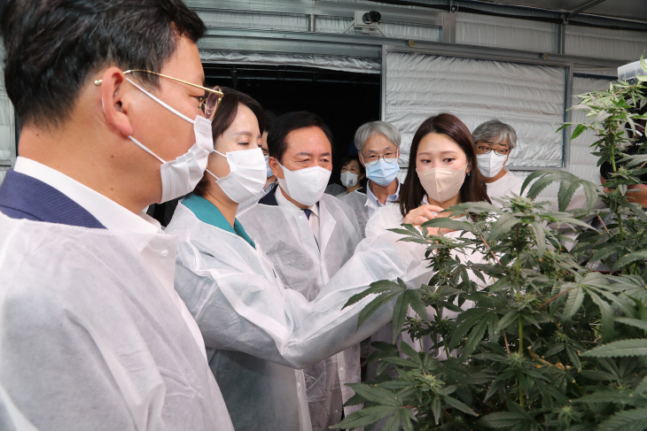 이영 중소벤처기업부 장관 경북 산업용 헴프 규제자유특구 방문