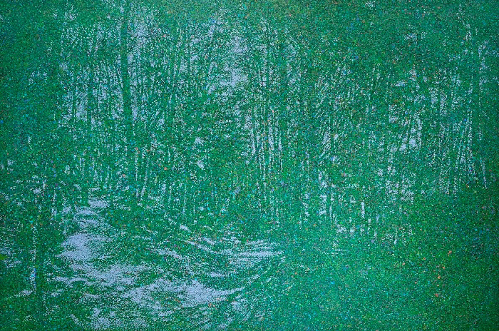 손원영 작 ‘Relations 2302_두 갈래 길, 여주’