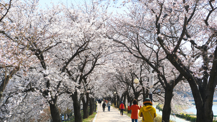 영주 서천변