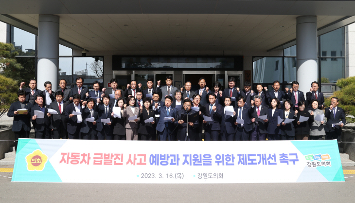 자동차 급발진 사고 예방과 지원을 위한 제도개선  촉구 결의