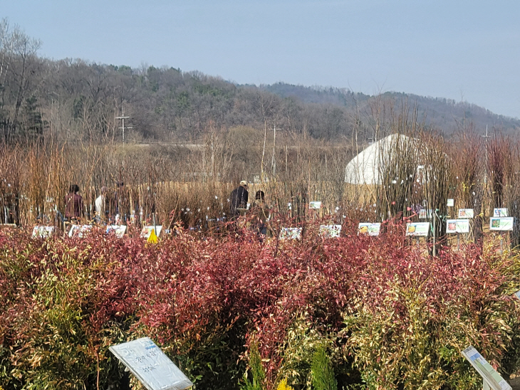 원주시산림조합 나무시장 2