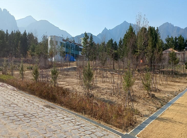 세계산림엑스포장 식재 _1