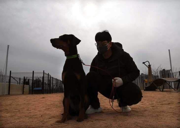 시흥시 동물누리보호센터 유기-유실견