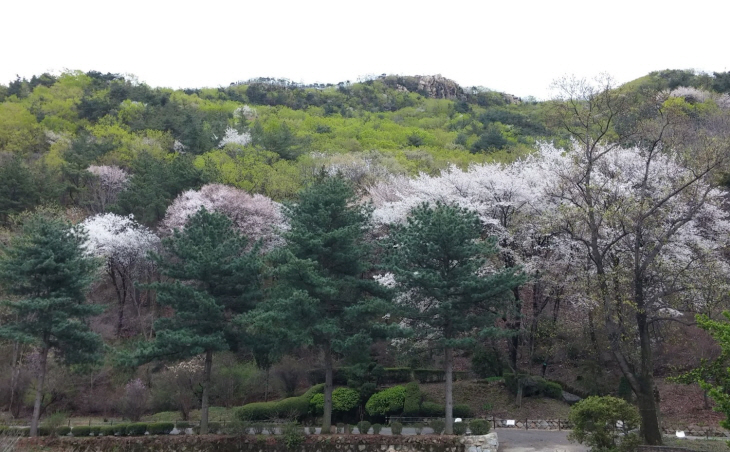 안양시 서울대 관악수목원