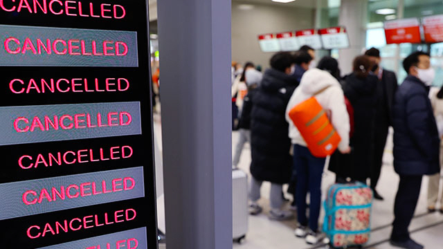 제주공항 폭설 결항