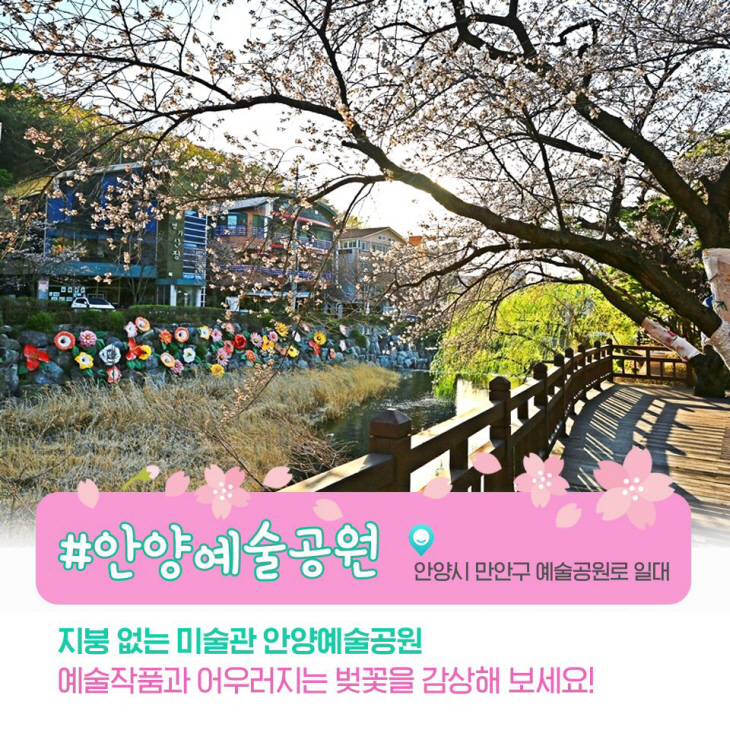 안양시 벚꽃명소