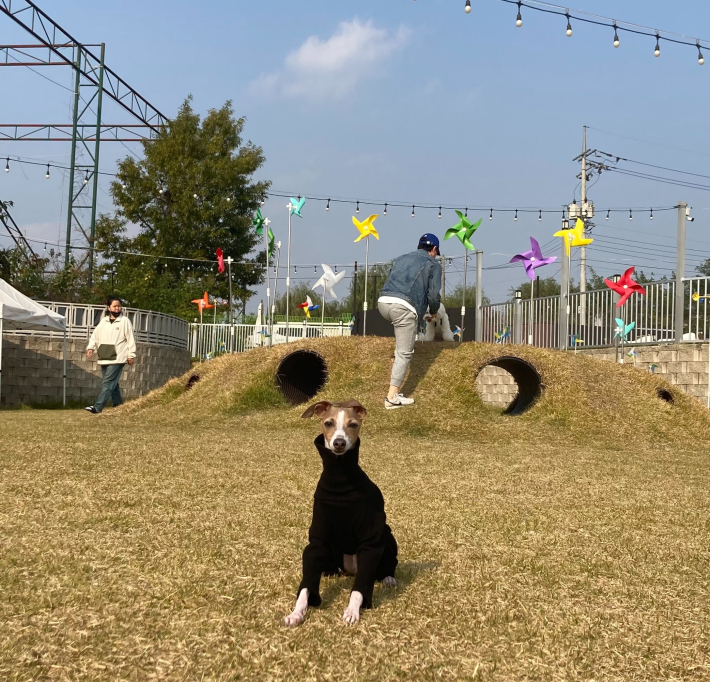 제목을-입력해주세요_-001-2023-03-31t165457_905.png