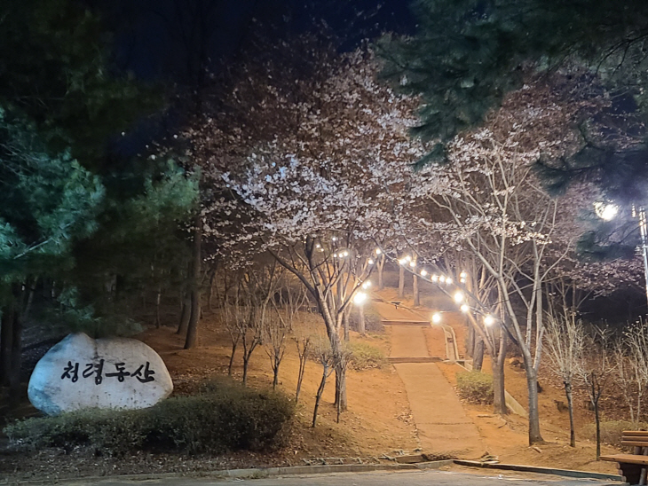 안산시 중앙공원 야간조명 설치