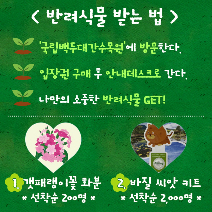 식목일 이벤트