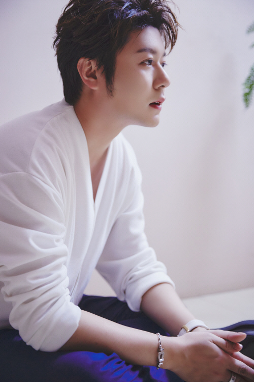 데이비드용