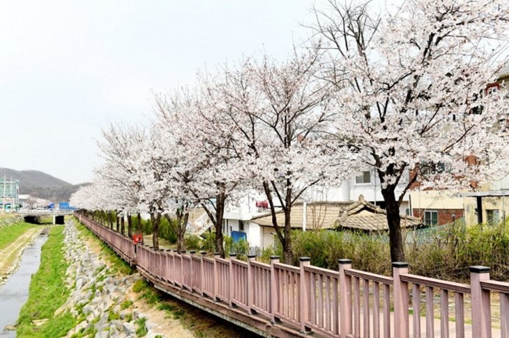 파주 광탄면 분수천