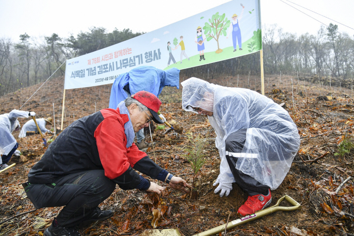 김포시 5일 해주최씨 종중 산에 화백나무 6천주 식재