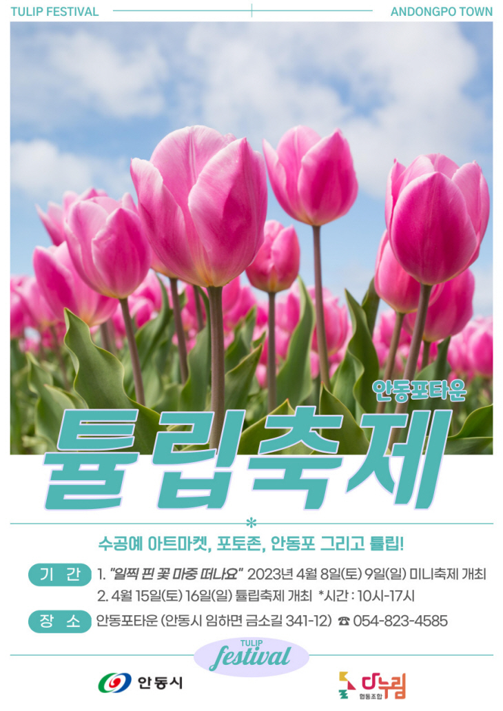 다누림협동조합, 안동포타운 ‘봄의 여왕’튤립 축제 개최