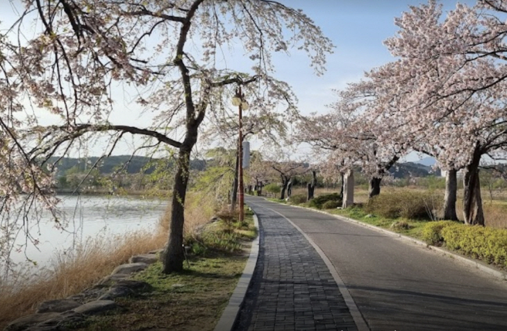 경포호 산책로_1