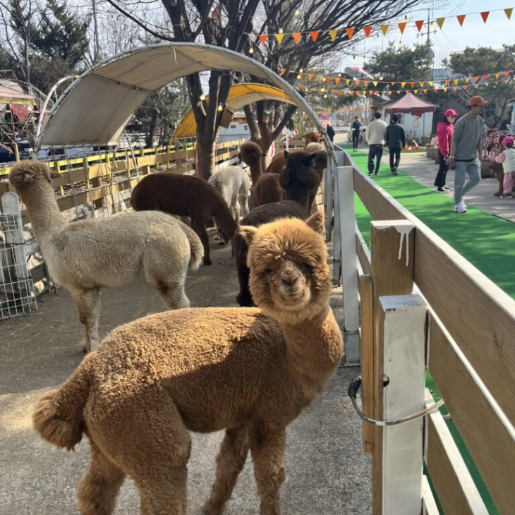 KakaoTalk_20230407_180843962_02