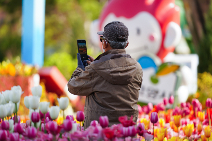ilsan-lake-park-7162073_1920