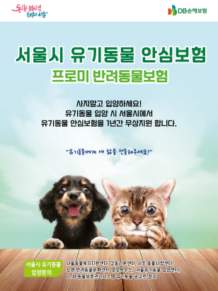 DB손해보험