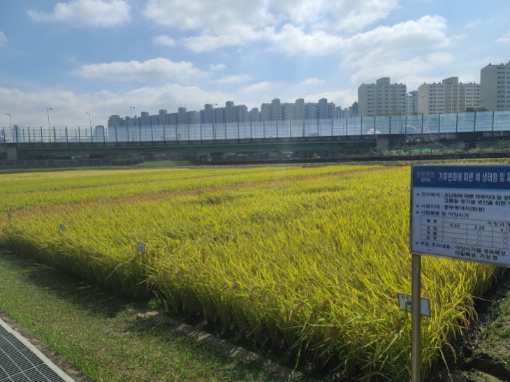 [크기변환]7a847c77-4dfd-42d5-ad94-04fe8e5e603d