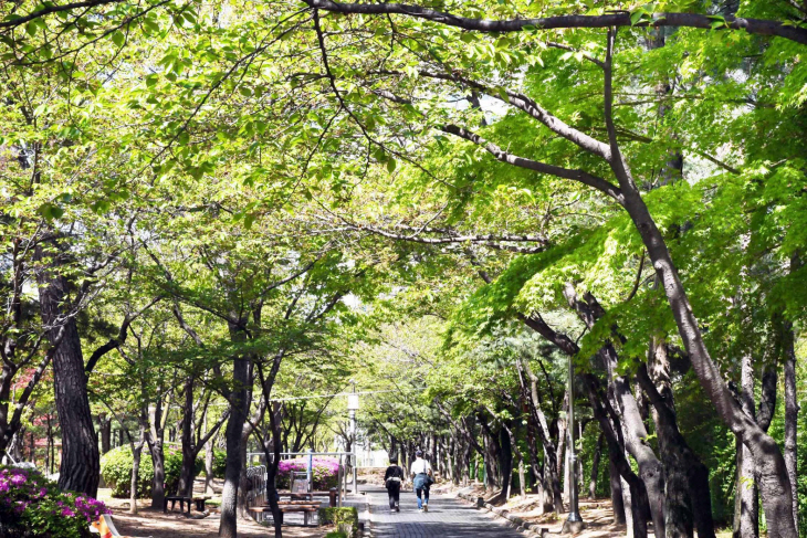 시흥시 은행동 비둘기공원