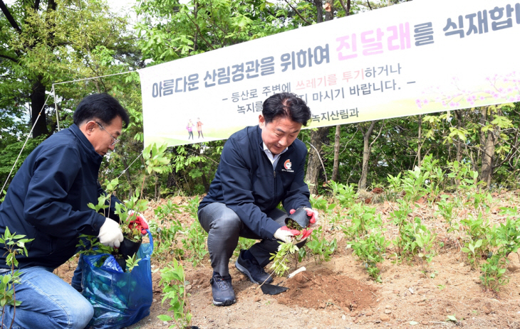 김동근 의정부시장 천보산 진달래 군락지 조성 참여