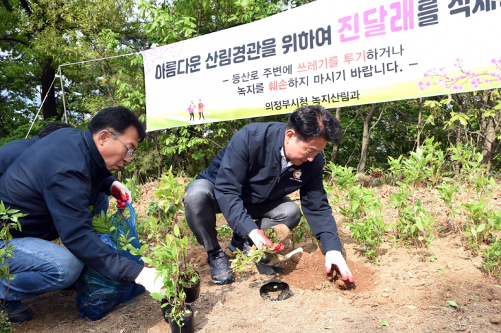 김동근 의정부시장 천보산 진달래 군락지 조성 참여
