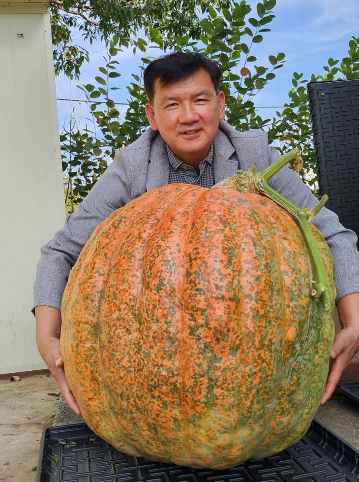 양주시 자이언트 호박