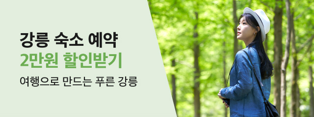 야놀자 강릉 숙소 예약