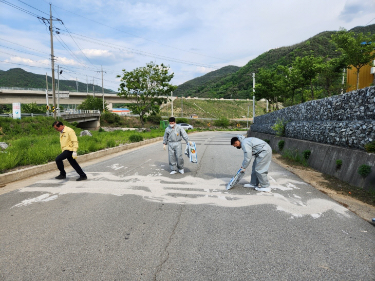 군위군 구제역 방역 총력