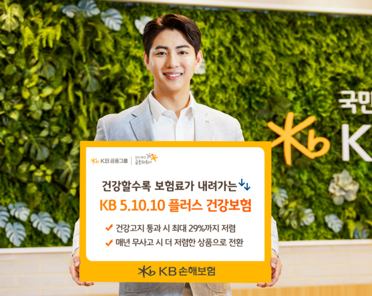 KB손보